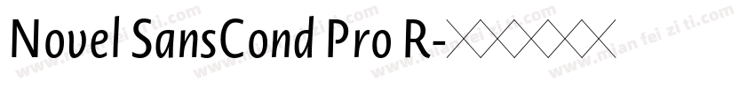 Novel SansCond Pro R字体转换